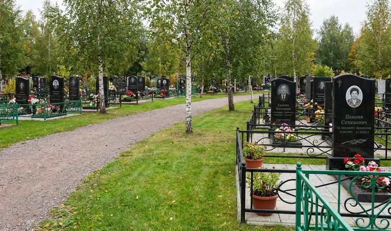 Старое Косыревское кладбище в Липецка