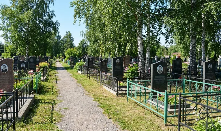 Бугровское кладбище