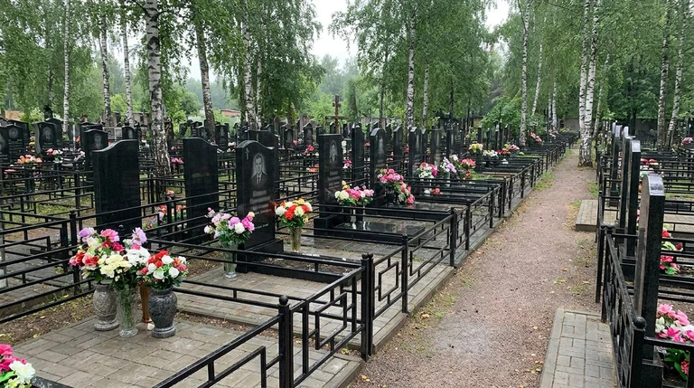 Гранитный памятник на участке Южного кладбища в Санкт-Петербурге среди деревьев